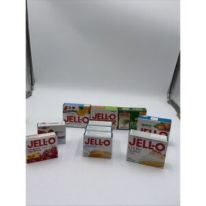 Vintage Jell-O Pudding Gelatin No Eating Prop Movie TV Jello